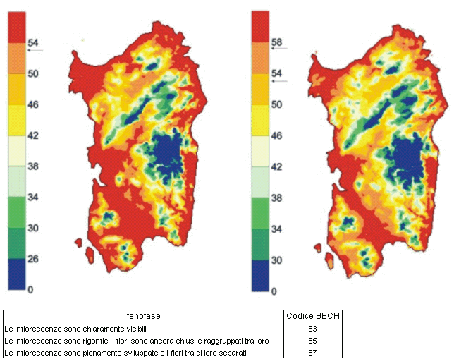 Figura 11 - Mappe fenologiche per Chardonnay (a sinistra) e Cabernet, al 30 aprile, calcolate nell'ambito del progetto Iphen. Figura 11 - Mappe fenologiche per Chardonnay (a sinistra) e Cabernet, al 30 aprile, calcolate nell'ambito del progetto Iphen.